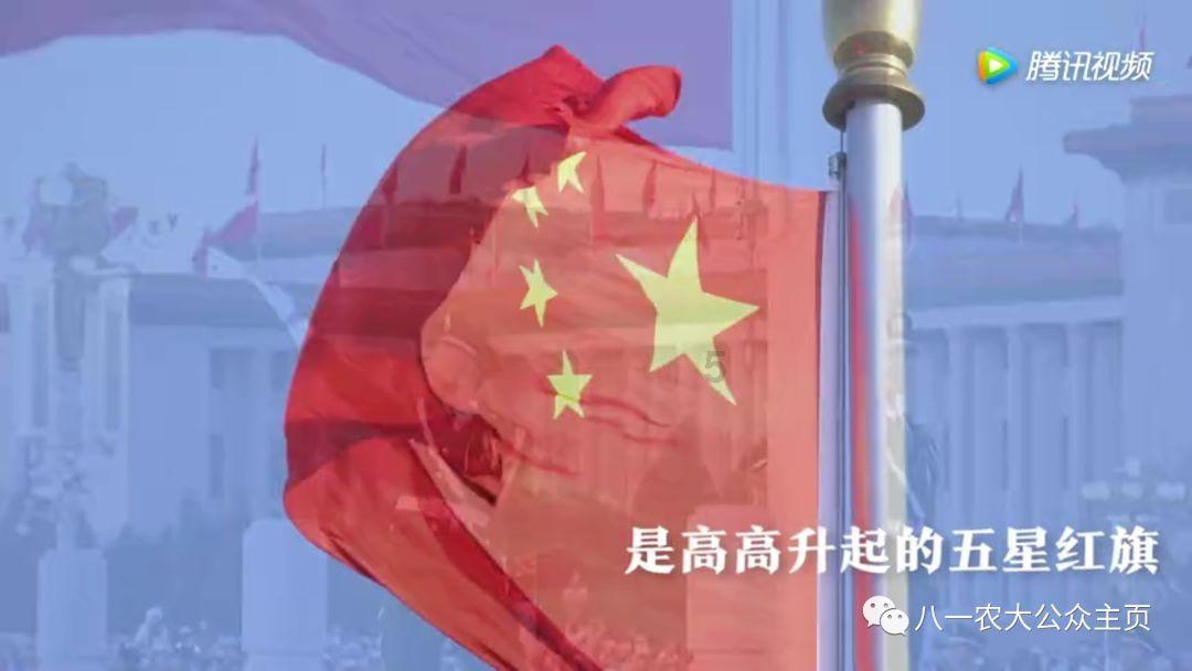 拯救枯树